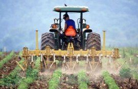 fermieri criză secetă - AgroExpert.md