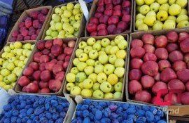 fructe export ue - AgroExpert.md