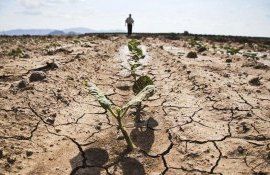 ue secetă fermieri - AgroExpert.md