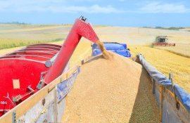 Rezerve de cereale - AgroExpert.md