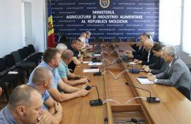 fermieri secetă agricultură - AgroExpert.md