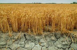 seceta românia irigare - AgroExpert.md