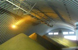 Speculatie despre elevatoare- AgroExpert.md