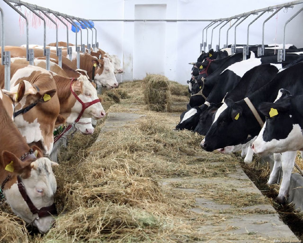 zootehnie lege Moldova - AgroExpert.md
