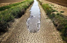 secetă România, fermieri - AgroExpert.md