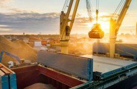 cereale export Ucraina - AgroExpet.md