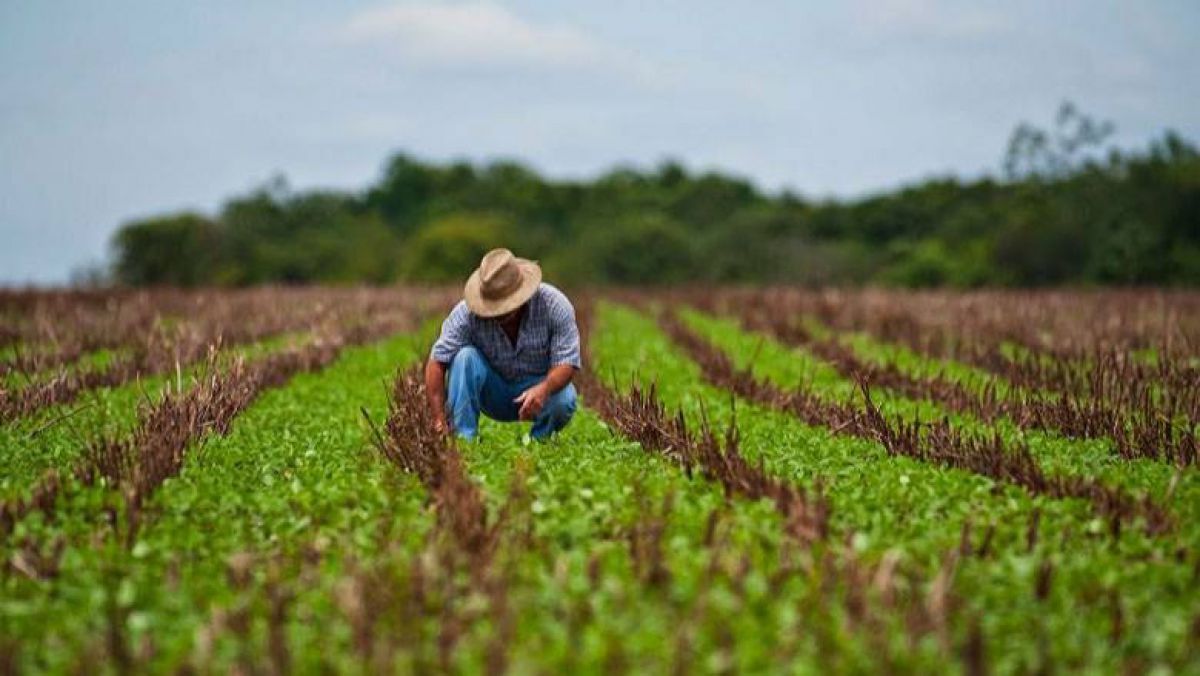 gospodării ASP fermieri - AgroExpert.md