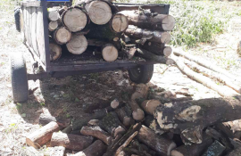 tăieri hoți lemne - AgroExpert.md