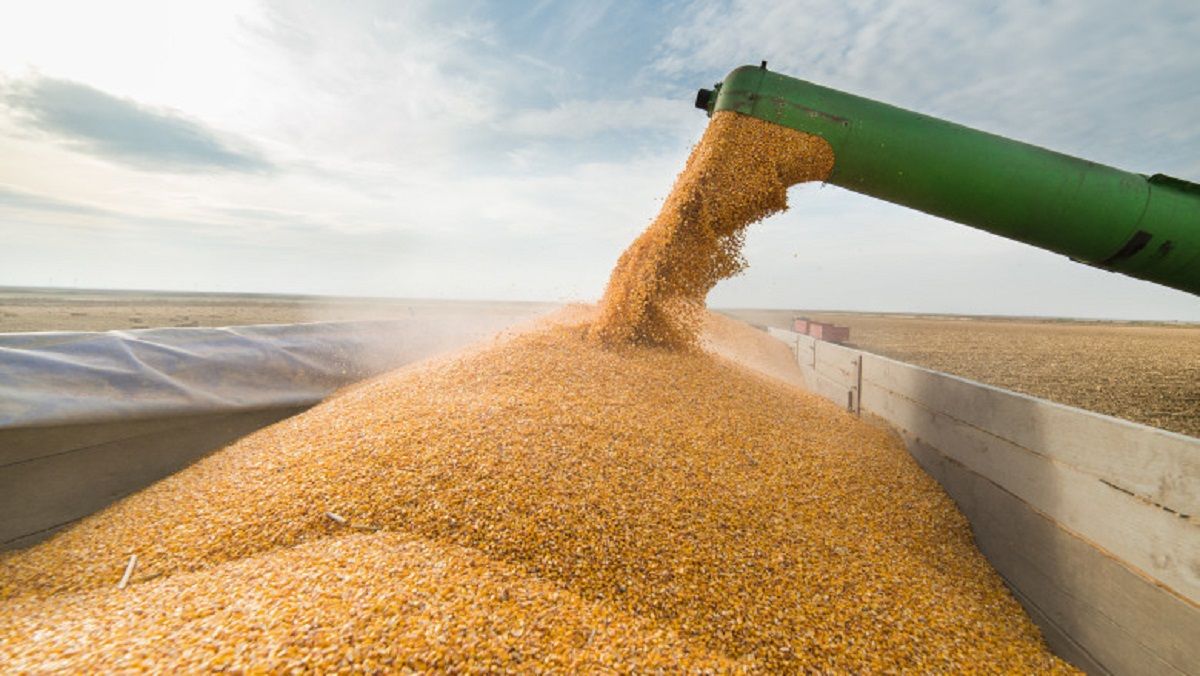 cereale preț recolta - AgroExpert.md