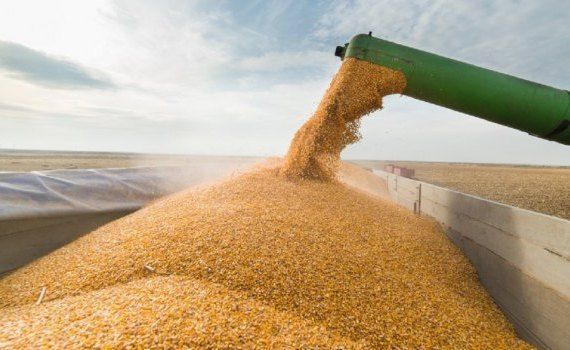 cereale preț recolta - AgroExpert.md