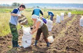 fermieri protecție recoltă - AgroExprt.md