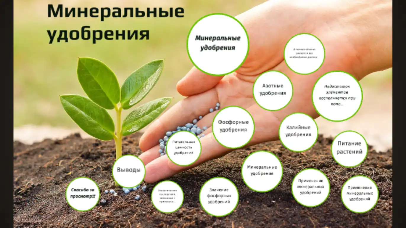 Российские производители удобрений попросили ЕС не препятствовать российскому экспорту   