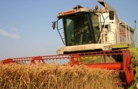 combină recoltare cereale - AgroExpert.md