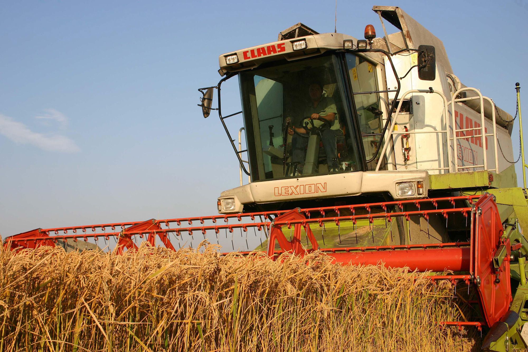 cereale preț bursă - AgroExpert.md