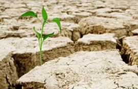 seceta agricultura fermeiri - AgroExpert.md