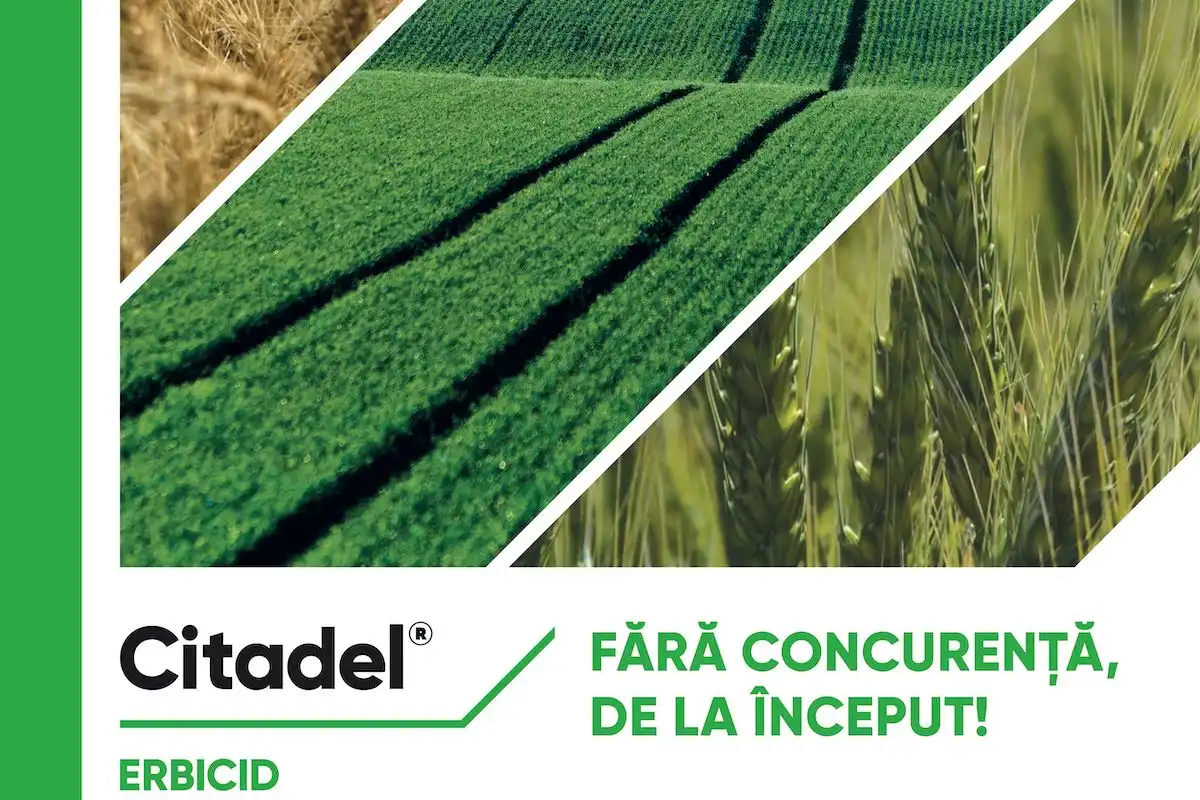 Erbicidarea de toamnă asigură un start bun al culturilor de cereale păioase!  Soluția Corteva – erbicidul Citadel®!