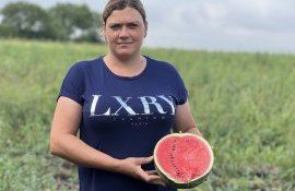 fermier pepeni holercani - AgroExpert.md