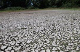 seceta UE fermieri - AgroExpert.md