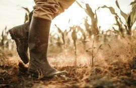 seceta Europa apă - AgroExpert.md