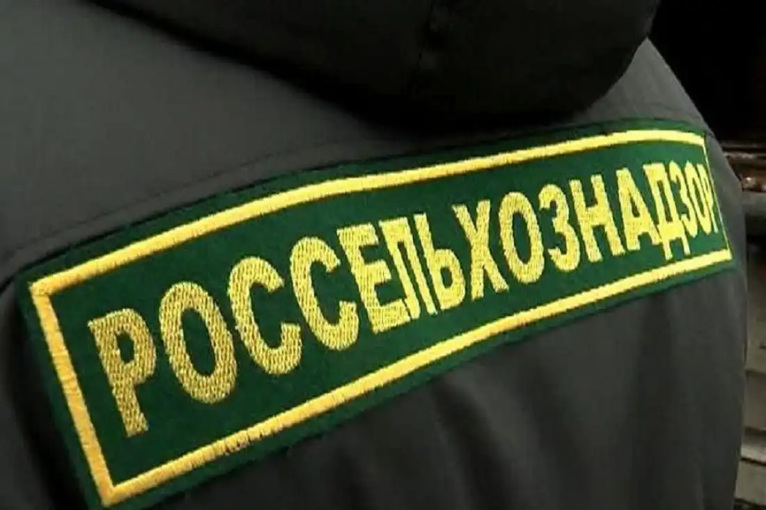 В Молдову приехали эксперты Россельхознадзора