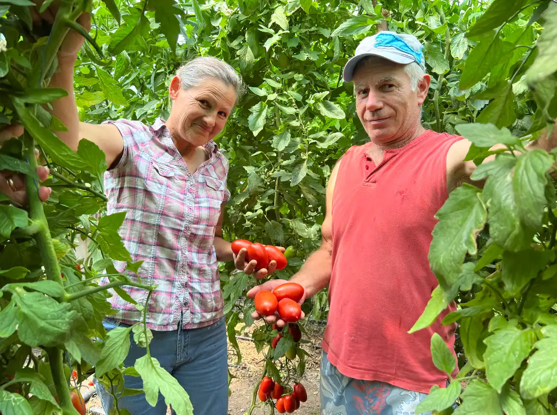 Au schimbat viața de oraș pe cea de la sat din dragoste pentru agricultură