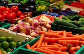 export embargou Rusia - AgroExpert.md