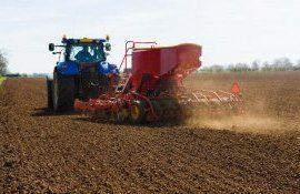 fermieri ucraineni bani - AgroExpert.md