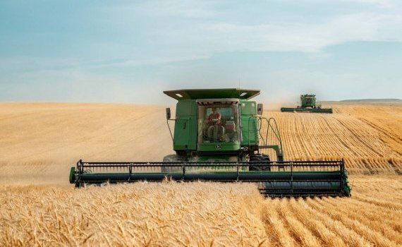 grîu recoltă România - AgroExpert.md