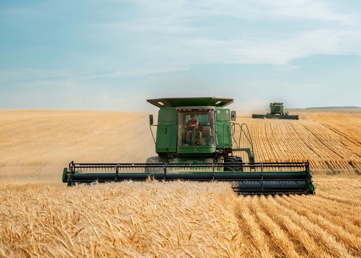 grîu recoltă România - AgroExpert.md