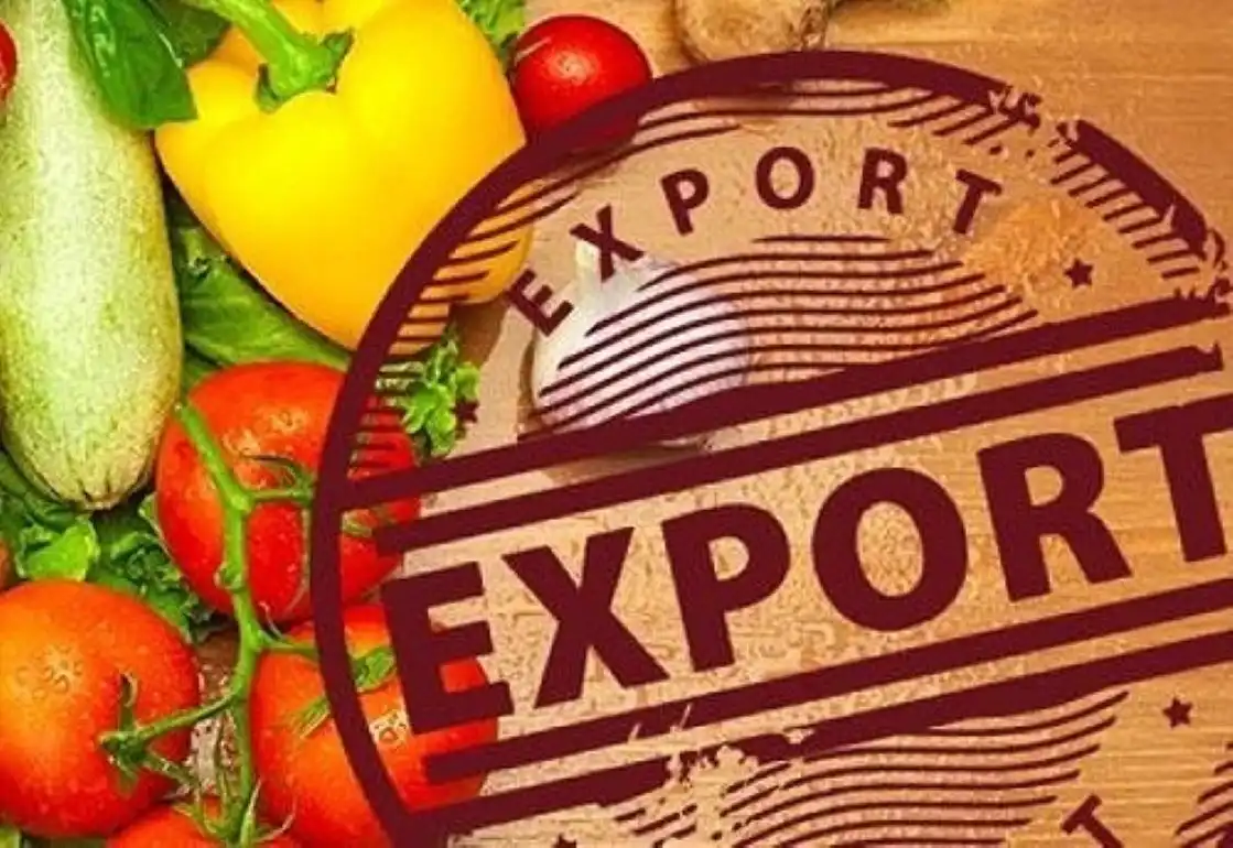 Агроэкспорт Украины после российского вторжения упал на 40%   