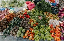 fructe embargou Rusia - AgroExpert.md