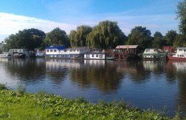 tamisa rîu, Londra - AgroExpert.md