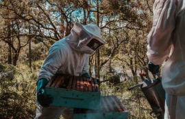 Cum să răstorni un tiran ca Putin? Foreign Policy a cercetat şi analizat posibilele scenarii care ar putea duce la înlătuarea preşedintelui rus Vladimir Putin