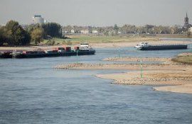 Rin secetă navigație - AgroExpert.md