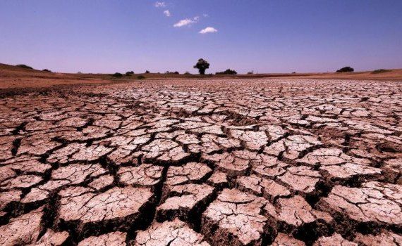 secetă Spania criză - AgroExpert.md
