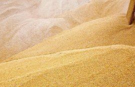 export cereale Moldova - AgroExpert.md