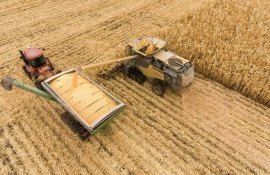 ungaria fermieri ajuotor - AgoExpert.md