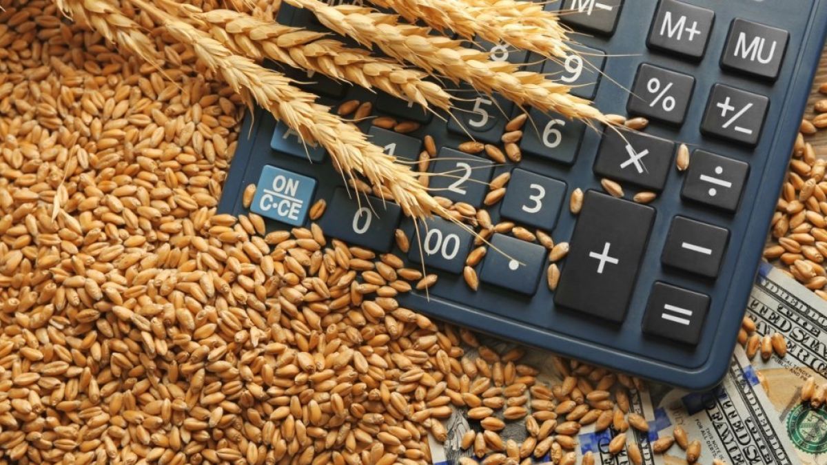 cereale export, ucraina - AgroExpert.md
