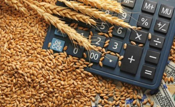 cereale export, ucraina - AgroExpert.md