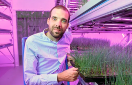 ferme verticale UK - AgroExpert.md