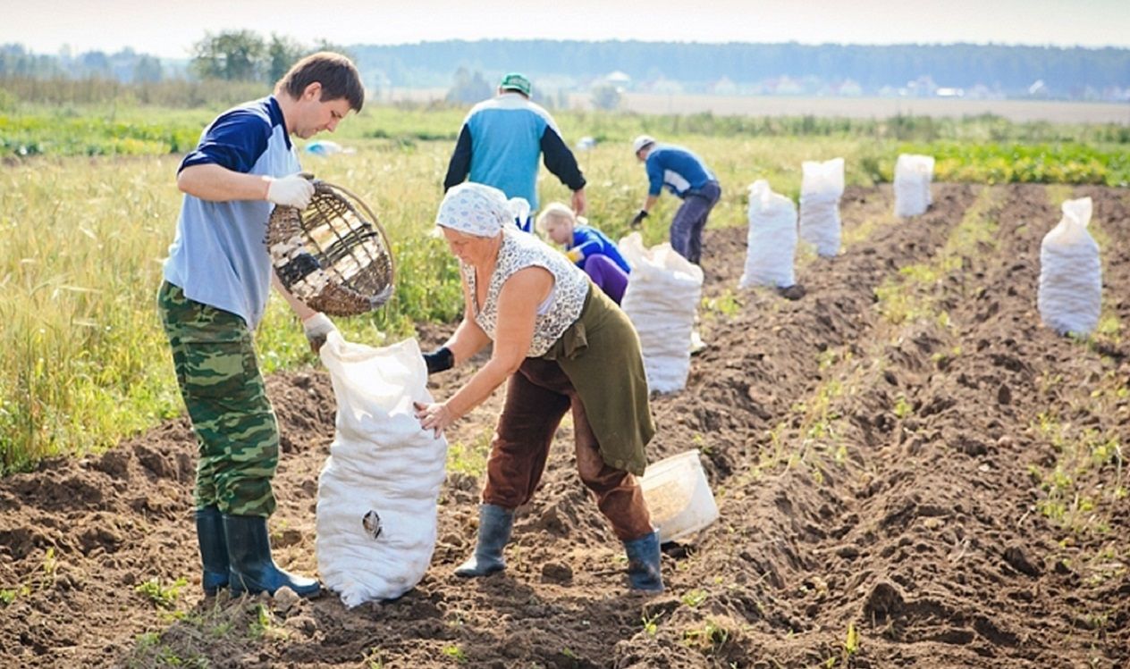 fermieri declarație asociație - agroExpert.md