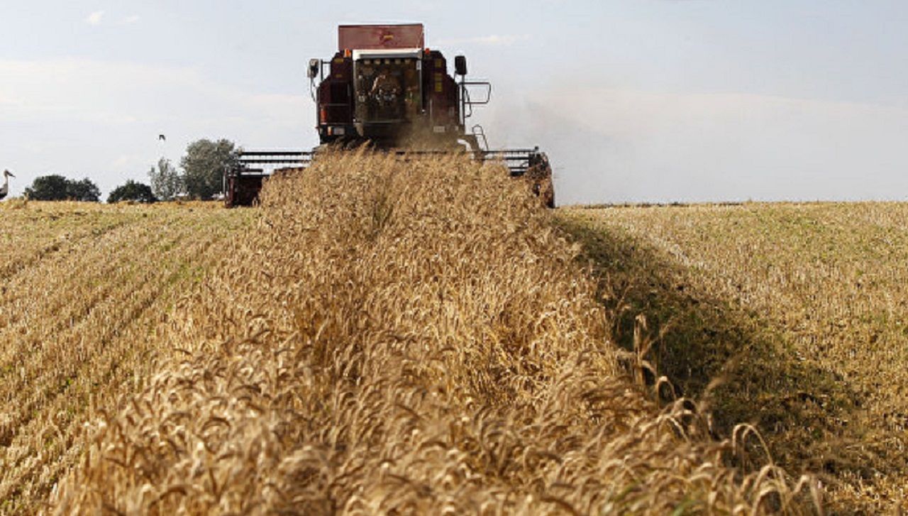 combina recoltă grâu - AgroExpert.md