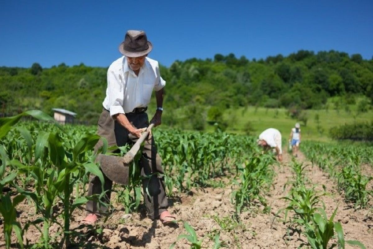 tva fermieri credite - AgroExpert.md