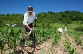 tva fermieri credite - AgroExpert.md