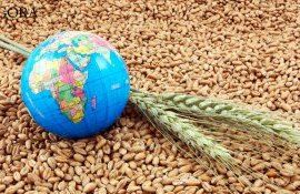 securitate - AgroExpert.md