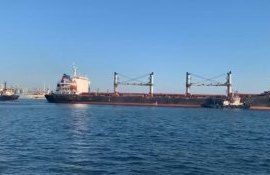 nava export ucraina - AgroExpert.md