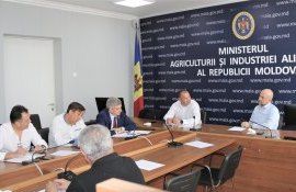 export producție fermieri - AgroExpert.md