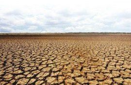 seceta Marea Britanie - AgroExpert.md