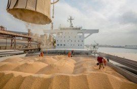 cereale export ucraina - AgroExxpert.md