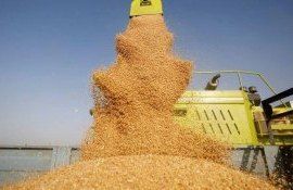 export cereale Rusia - AgroExpert.md